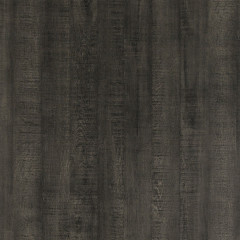 Charred Elm