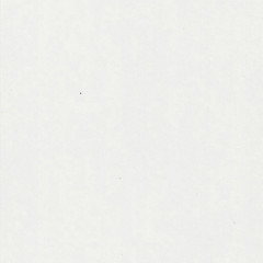 White Gloss Swatch